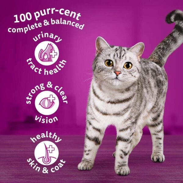 Whiskas 1+ Adult Chicken, Adult Dry Cat Food , 7 kg ( Pack of 1) - Image 5