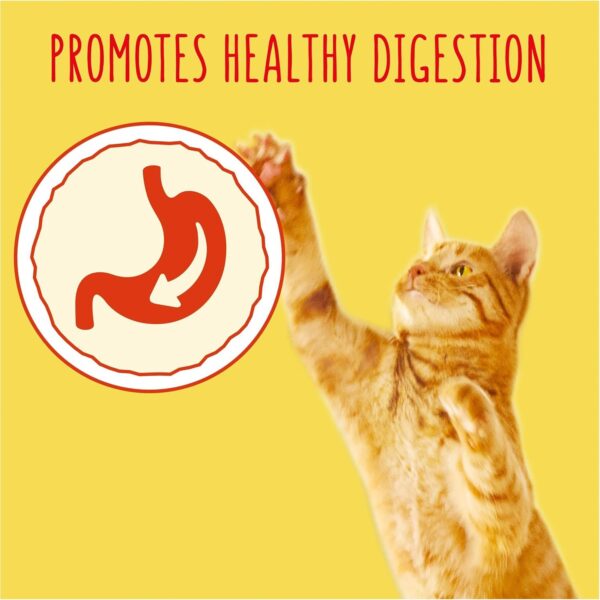 Go-Cat Adult Chicken & Duck Dry Cat Food 10kg (Packaging may vary) - Image 4
