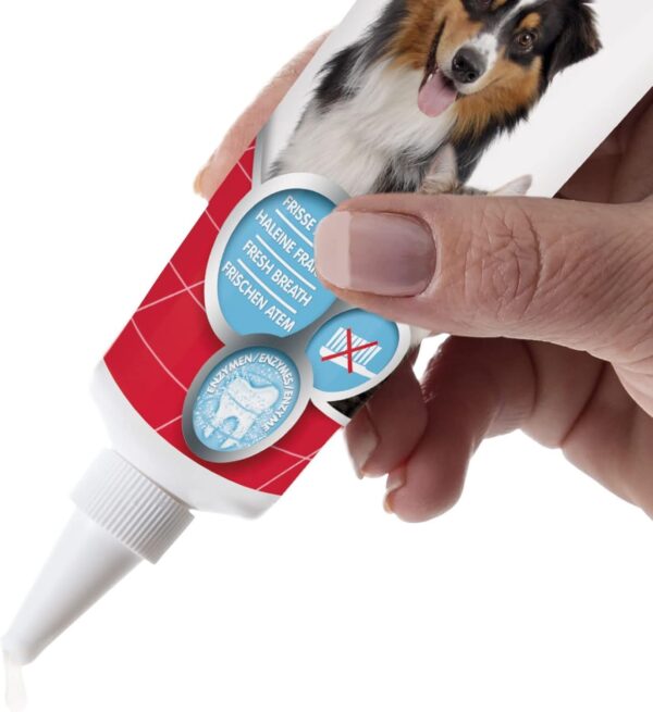 Beaphar | Advanced Dual-Enzyme Toothpaste | Dental Care for Dogs & Cats | Helps Prevent Bad Breath & Combat Plaque | Liver-Flavoured | 100g Tube - Image 2