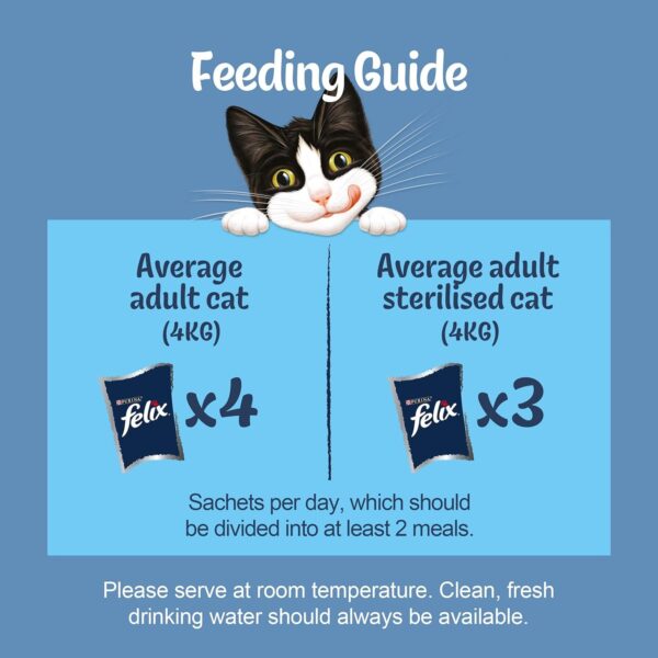 FELIX ORIGINAL Fish Favourites in Jelly Wet Cat Food 40x85g - Image 3