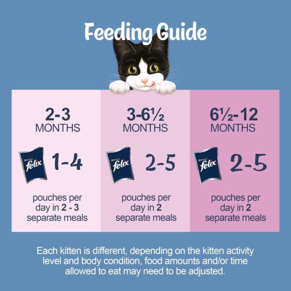 FELIX ORIGINAL Kitten Mixed Menu in Jelly Wet Cat Food 40x85g - Image 3